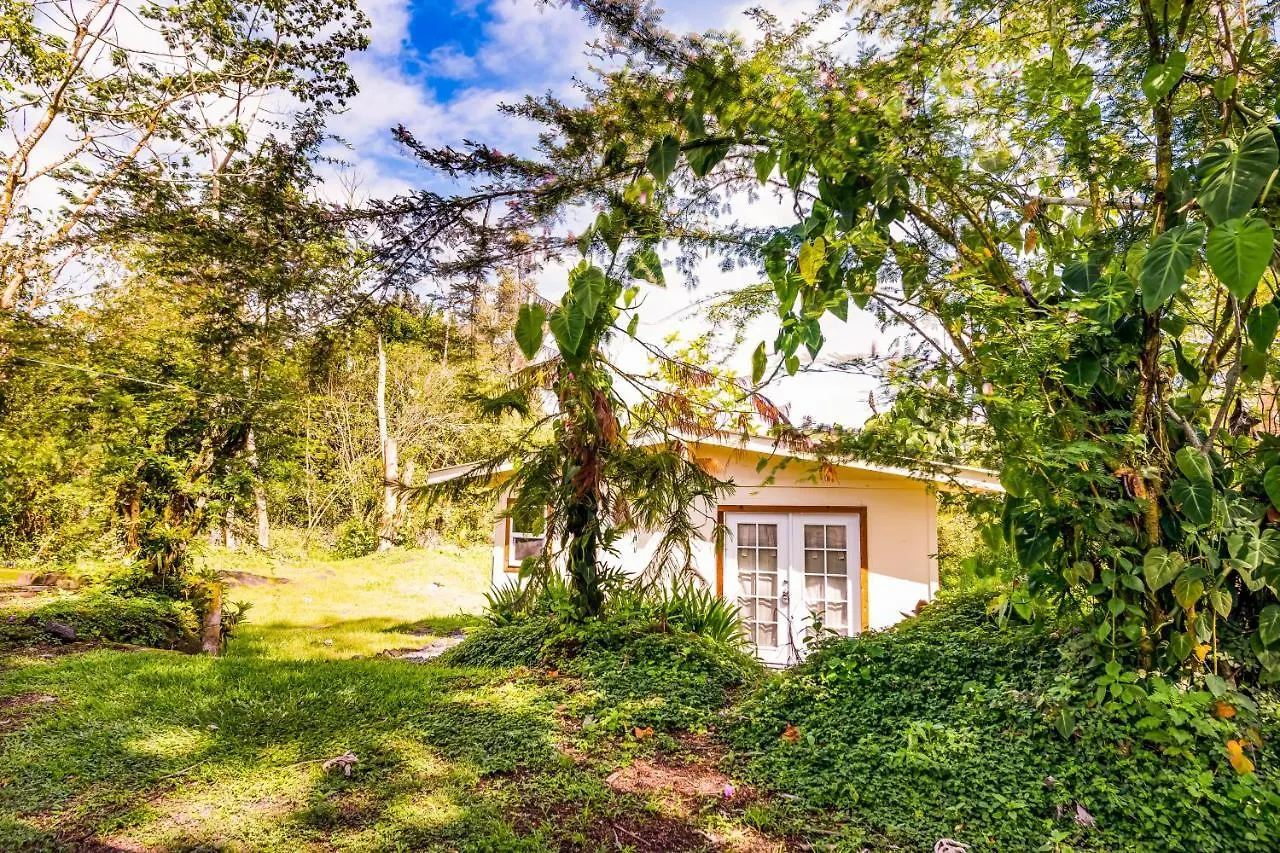 Puni Mauka B 31 Plus Day Rental Pahoa